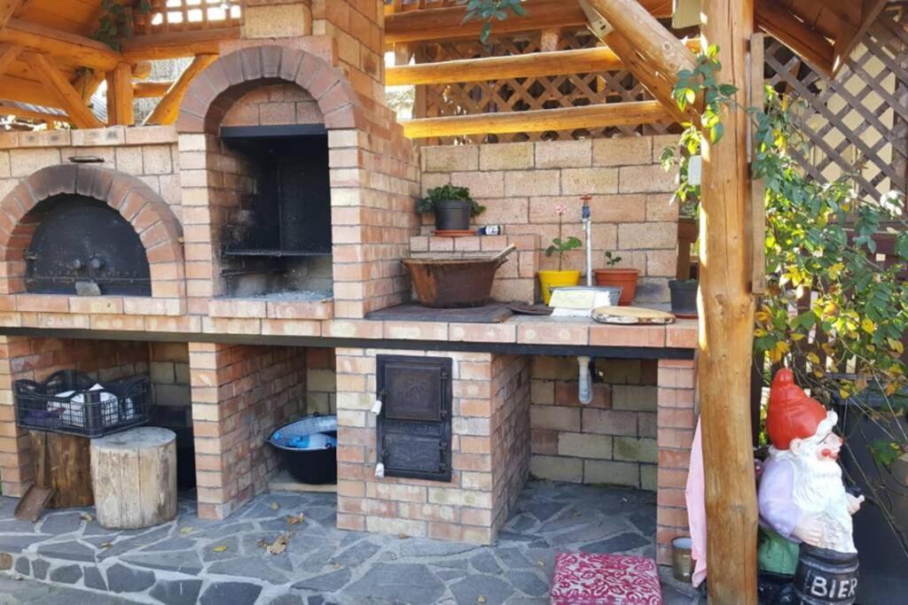 Casa Cu Fantana Holiday home *