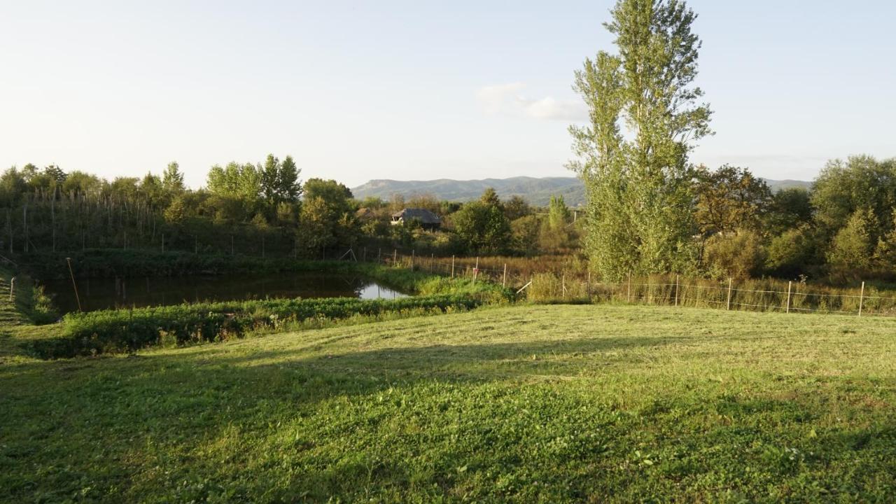Casa Cu Fantana Borlesti