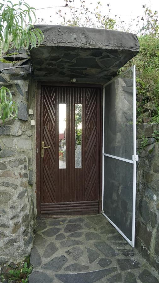 Casa Cu Fantana Holiday home *
