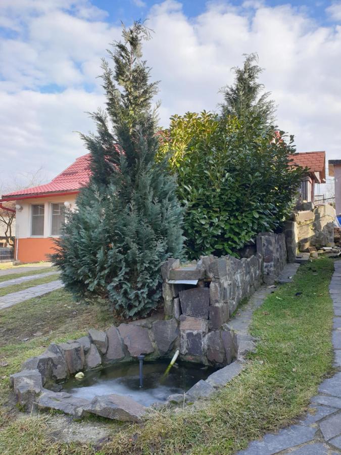Holiday home Casa Cu Fantana Borlesti